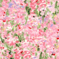 Tribute to Monet - Floral Landscape #2