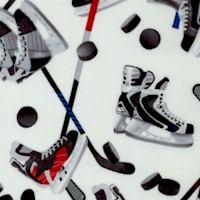 SP-hockey-R996