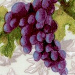 Wine Country - Tossed Grape Clusters