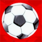 SP-soccer-Y688