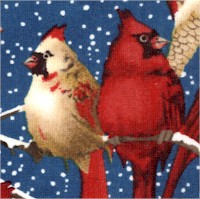 Random Thoughts About Winter - Handsome Cardinals and Chickadees by Anita Phillips