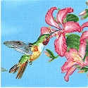 BI-hummingbirds-M976