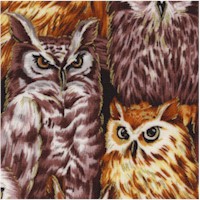 BI-owls-Z815