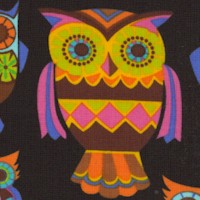 BI-owls-Z994