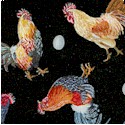 BI-roosters-P894