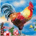 BI-roosters-P895