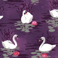 Odette - Graceful Swans on the Lake